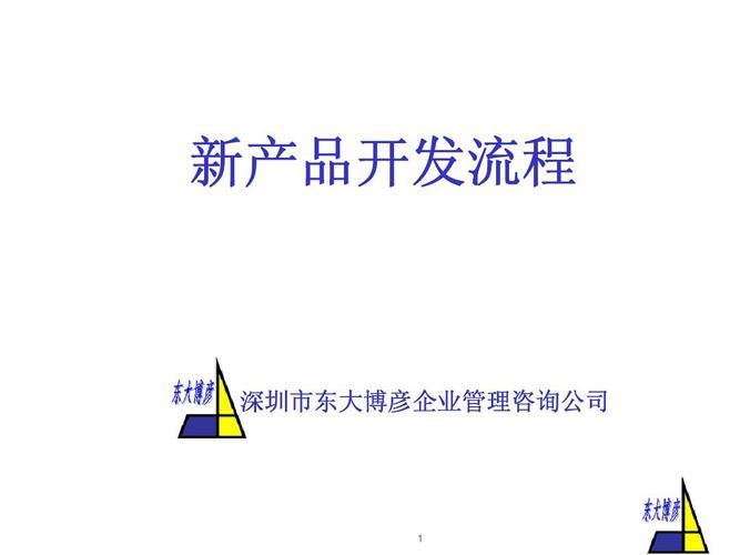 新产品开发流程 深圳市东大博彦企业管理咨询公司的专业管理咨询实践